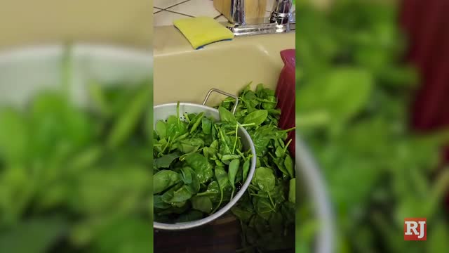 Las Vegas Review Journal News | Las Vegas woman reports finding mouse in Walmart spinach