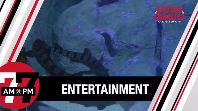 LVRJ Entertainment 7@7 | 15 family-friendly things to do in Las Vegas before school starts