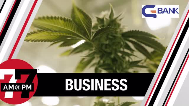 LVRJ Business 7@7 | Are casinos losing revenue by not allowing cannabis consumption?