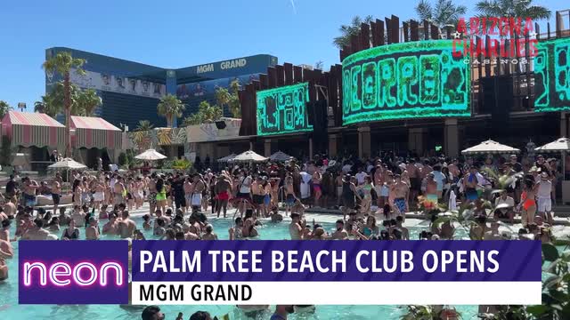 LVRJ Entertainment 7@7 | Palm Tree Beach Club Opens at MGM Grand