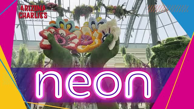 LVRJ Entertainment 7@7 | 8 must-see attractions on the Las Vegas Strip