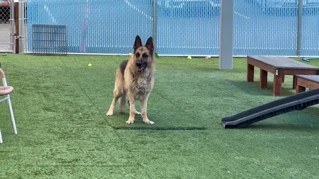 Las Vegas Review Journal Sports | Hello, I’m Kaleidus!