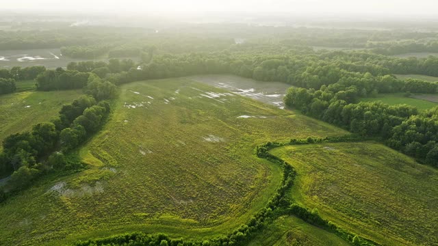 Las Vegas Review Journal Sports | Care+Kidney_A Nuclear Care Partners Program